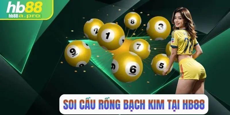 soi-cau-rong-bach-kim-hb88-avt